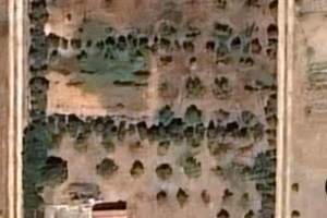 Terreno con locali regolari