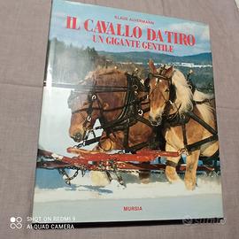 Il cavallo da tiro un gigante gentile Mursia