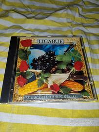 CD Ligabue 