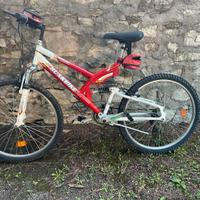 MTB - Bicicletta ruota 26