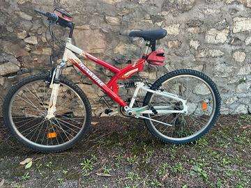 MTB - Bicicletta ruota 26