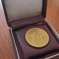 Medaglia Santuario Notre-Dame de Lourdes