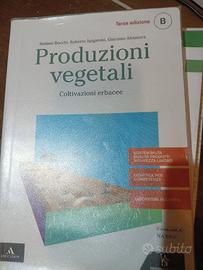 PRODUZIONI VEGETALI B