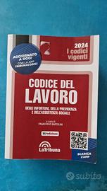Codice lavoro 2024 la Tribuna