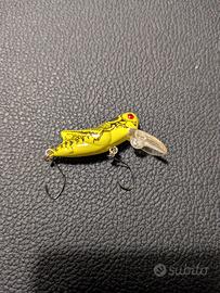 Lotto crank trout area e spinning