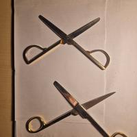 Coppia Forbici Professionali SOLINGEN 