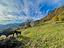 Immagine 20