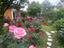 Immagine 14
