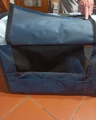 cuccia