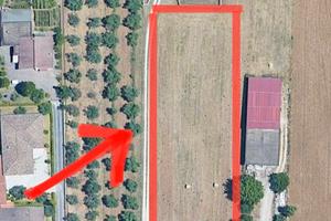 Terreno Agricolo 3150 metri