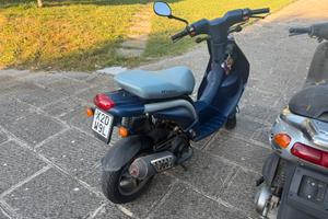 Pegeout ludix 50