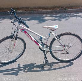 Mountain bike ruota 26