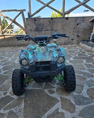 Quad a batteria 36v. 