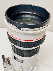 Canon EF 300mm f/2.8L — ammaccato