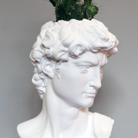 Vaso Busto David 18cm - Design 3D Base in Legno