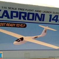 Aliante per volo libero.