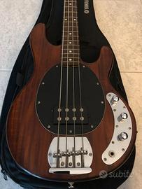 Basso Sterling by Music Man S.U.B. Series Ray4