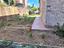 Immagine 26