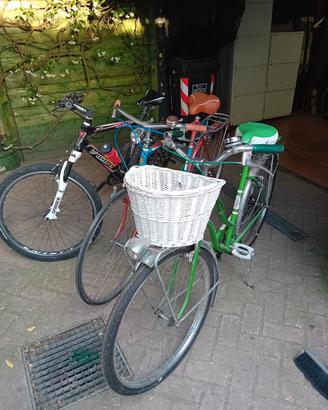 bicicletta uomo donna mountain bike