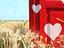 Immagine 2