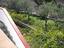 Immagine 23