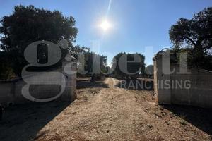 Terreno Agricolo Ostuni [Cod. rif 3331405VRG]
