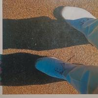 Lucio Battisti 33 giri E già