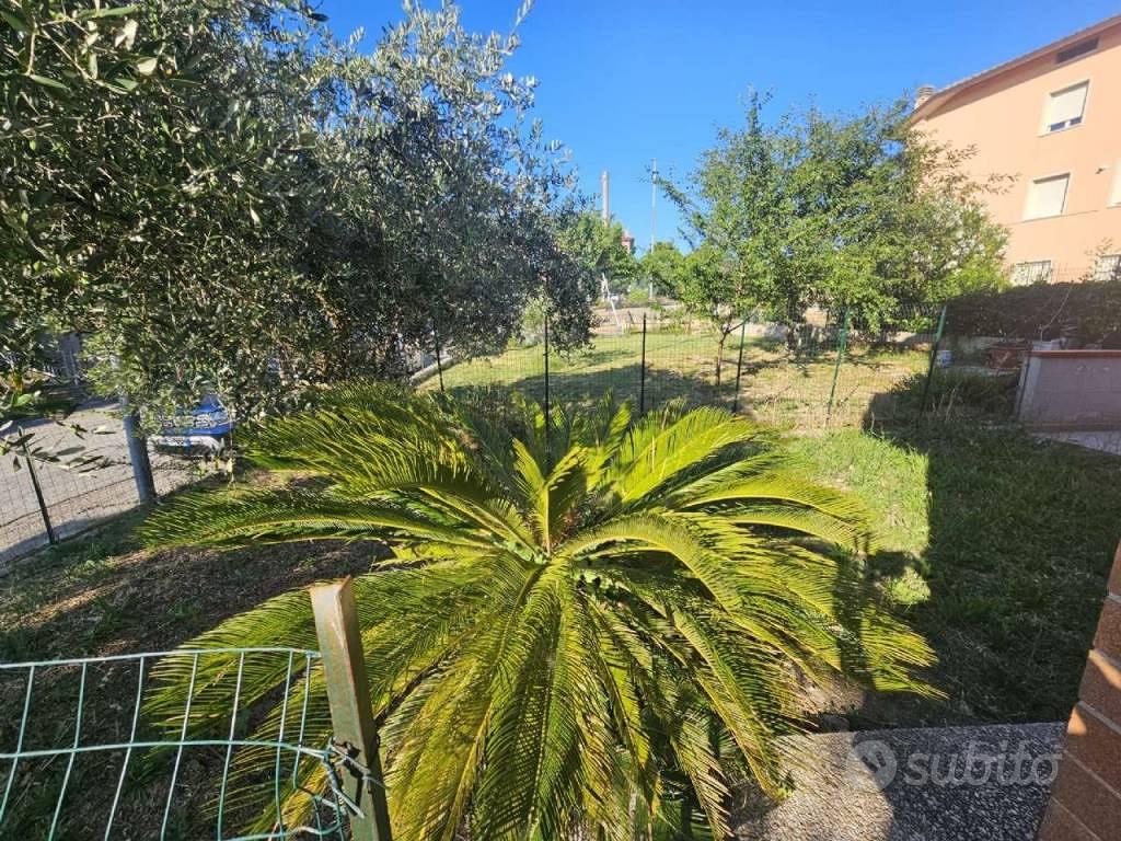 Casa – Santa Maria Nuova, Collina - Vista 4