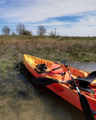 Kayak RTM Ocea Quattro