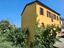 Immagine 11
