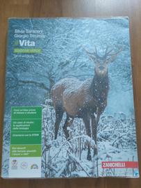 Vita edizione verde