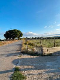 Terreno contrada bastonaca vittoria pedalino (RG)