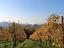 Immagine 22
