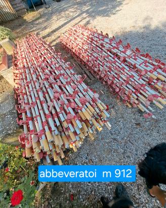 beveratoi per polli