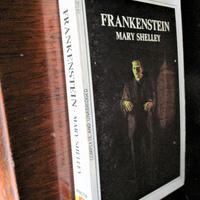  M. Shelley FRANKENSTEIN libro in inglese - NUOVO 