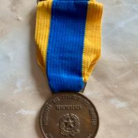 Medaglia di Benemerenza Alluvione 2000 Prot.Civile