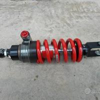 Ammortizzatore bitubo XZEV yamaha t max 560