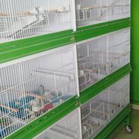 Batteria Gabbie CHILLON