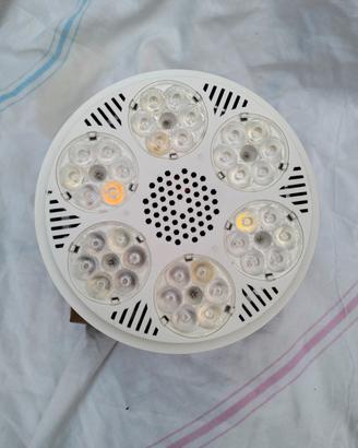 lampade da coltivazione,grow light led