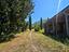 Immagine 11
