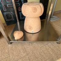 Miss Champagne by Riva 1920