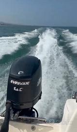 MOTORE EVINRUDE E75DPL