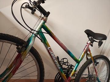 Mountain bike usata 