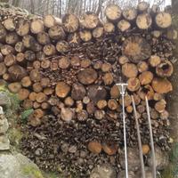 Legna secca