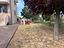 Immagine 9