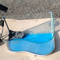 Terrario per tartarughe 