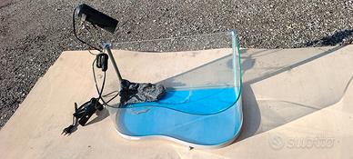 Terrario per tartarughe 