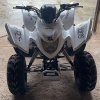 Quad aone cobra 50 da sistemare