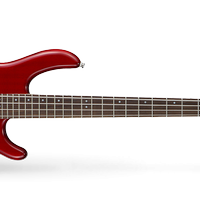 Bassista