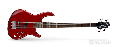 Bassista